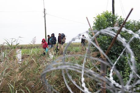 Refugees crossing the border between Serbia and Hungary. Geovien So/Demotix. All rights reserved